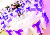 White Lycra Chair Covers